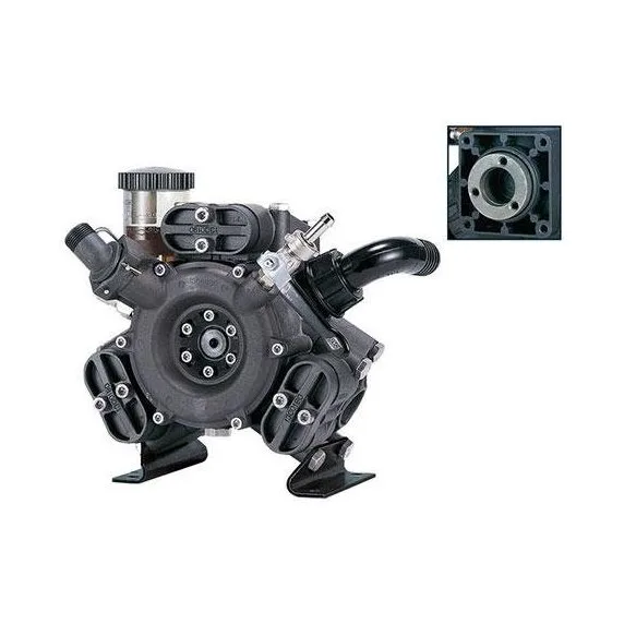 AR 503 SP